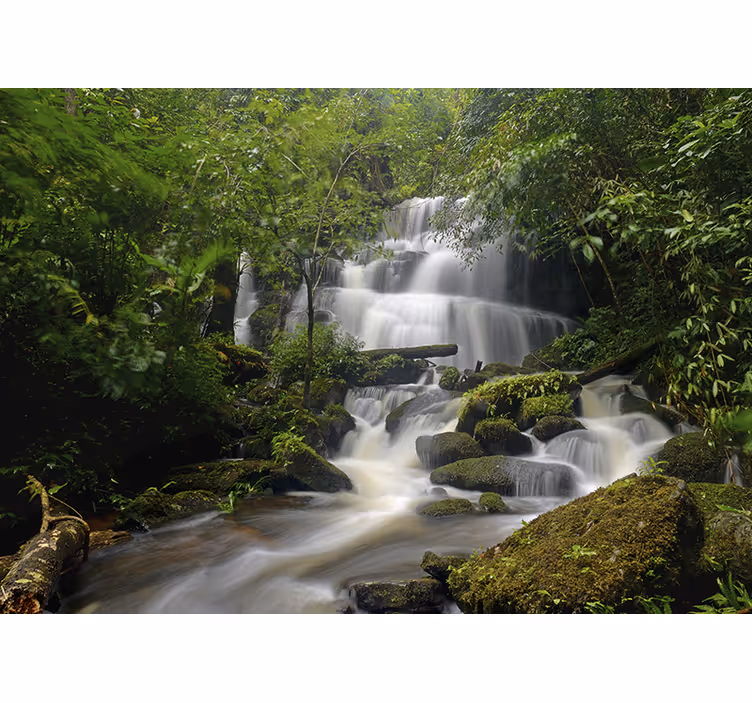 Tapisserie murale forêt et cascade - TenStickers