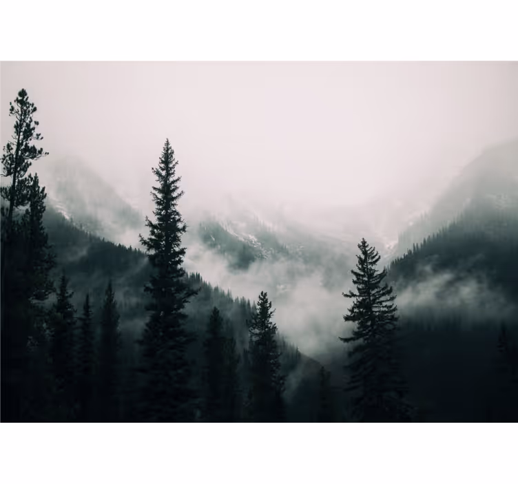 Tapisserie forêt paysage de montagne brumeux - TenStickers
