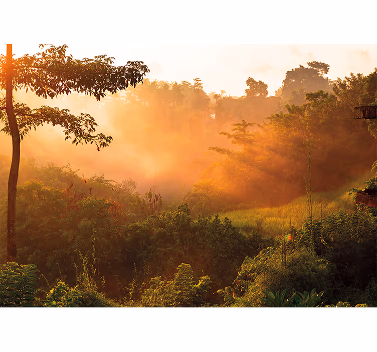 Tapisserie nature paysage forestier apaisant - TenStickers
