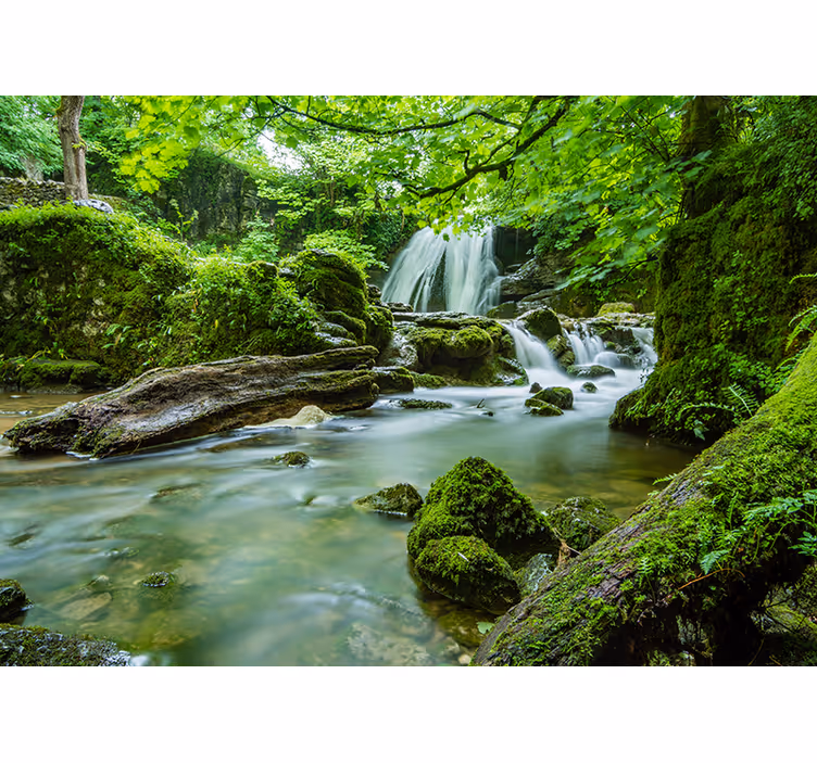 Tapisserie nature ruisseau paisible en forêt - TenStickers