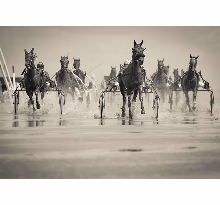 Tapisserie animaux chevaux courant ensemble - TenStickers