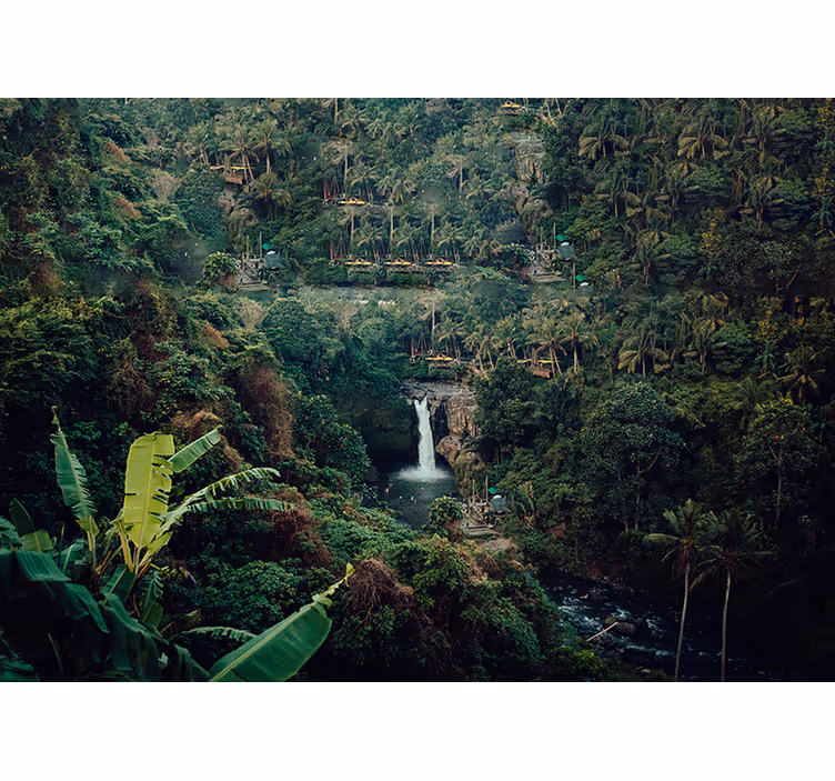 Tapisserie nature cascade luxuriante de jungle - TenStickers