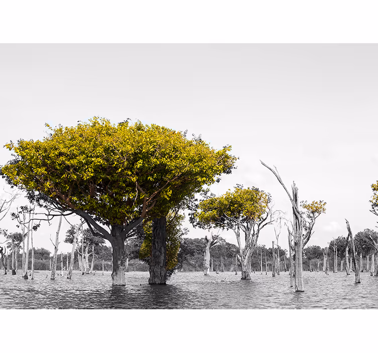 Tapisserie africaine grands arbres secs - TenStickers