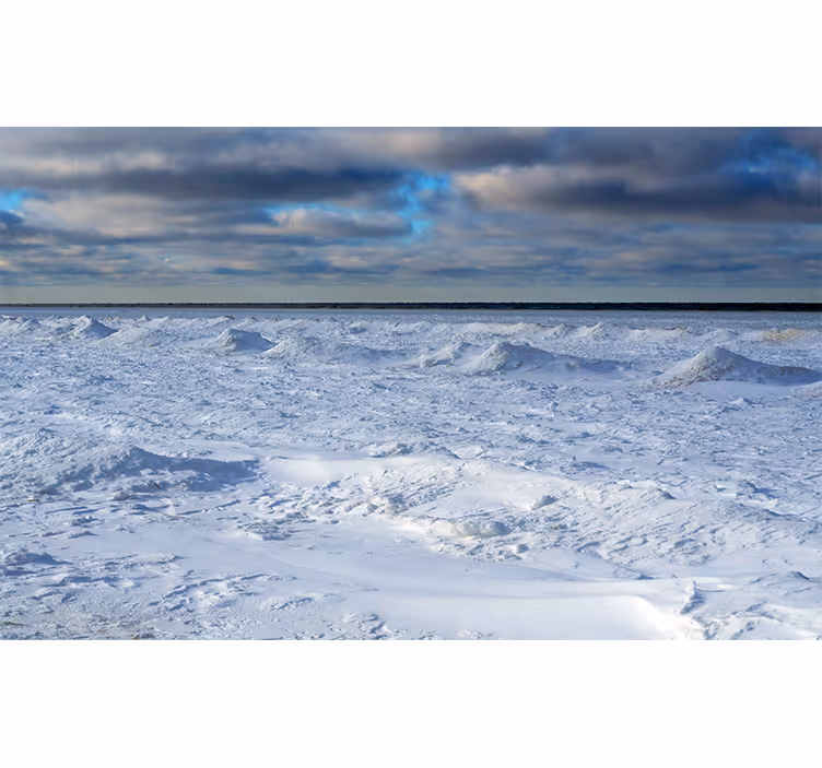 Tapisserie nature horizon gelé - TenStickers