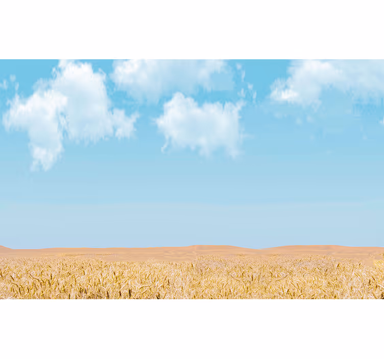 Tapisserie paysage ciel et blé - TenStickers