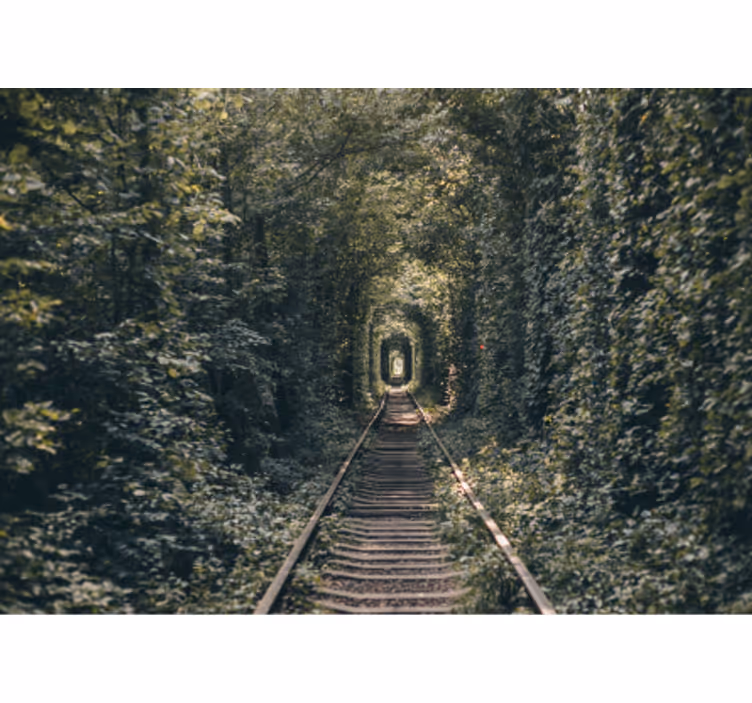 Tapisserie paysage sentier du tunnel forestier - TenStickers