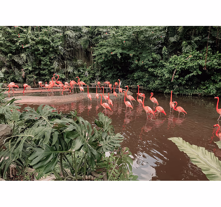 Tapisserie animaux flamants roses au bord de l'eau - TenStickers