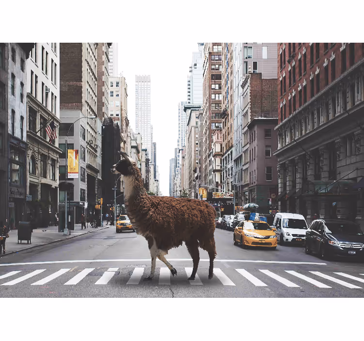 Tapisserie animaux lama dans la rue - TenStickers