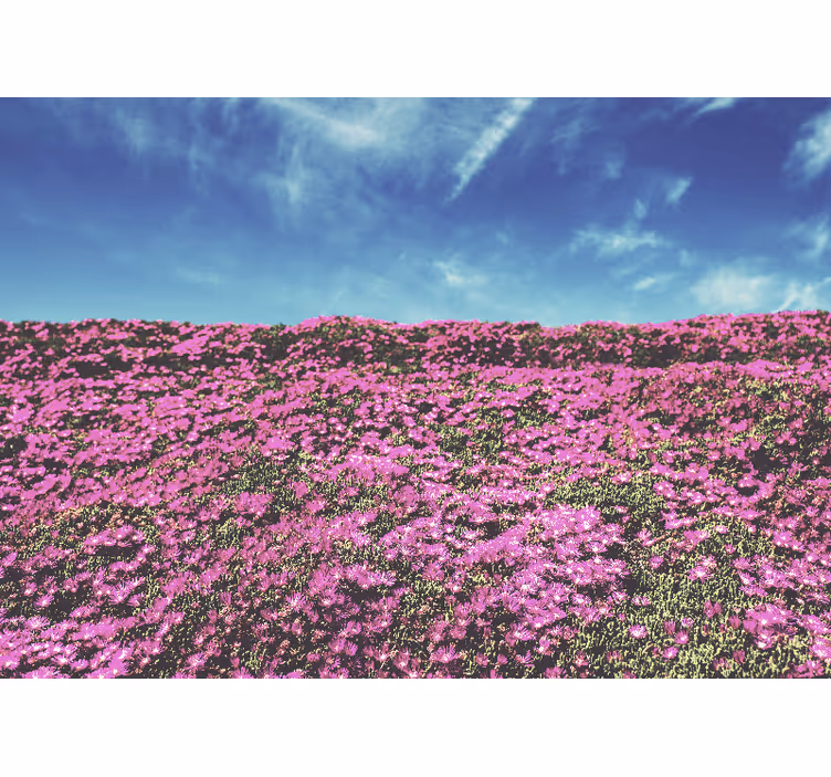 Tapisserie fleur fleurs roses vibrantes - TenStickers