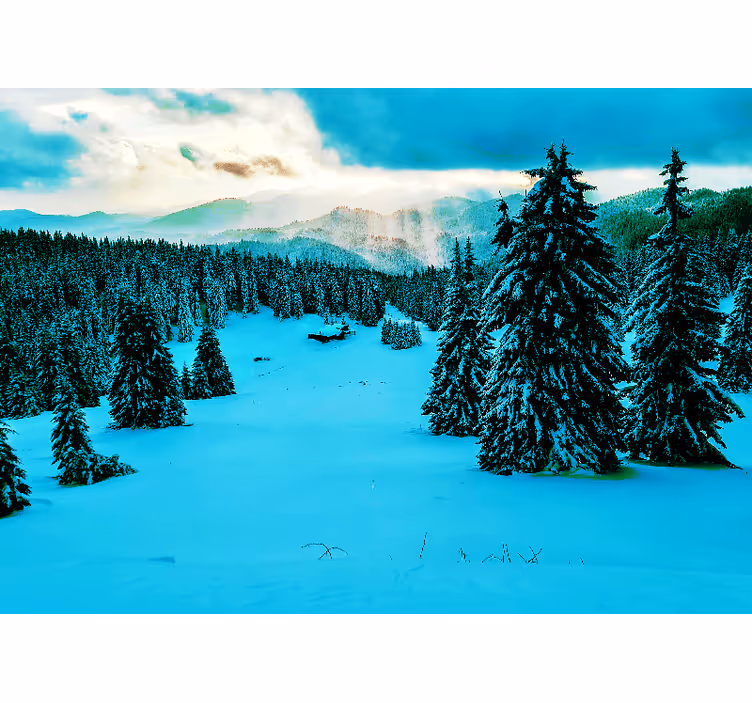 Tapisserie paysage forêt de pins enneigée - TenStickers