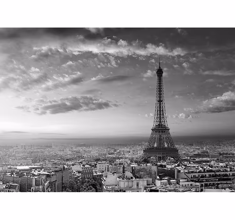 Tapisserie paris vue panoramique de la tour eiffel - TenStickers