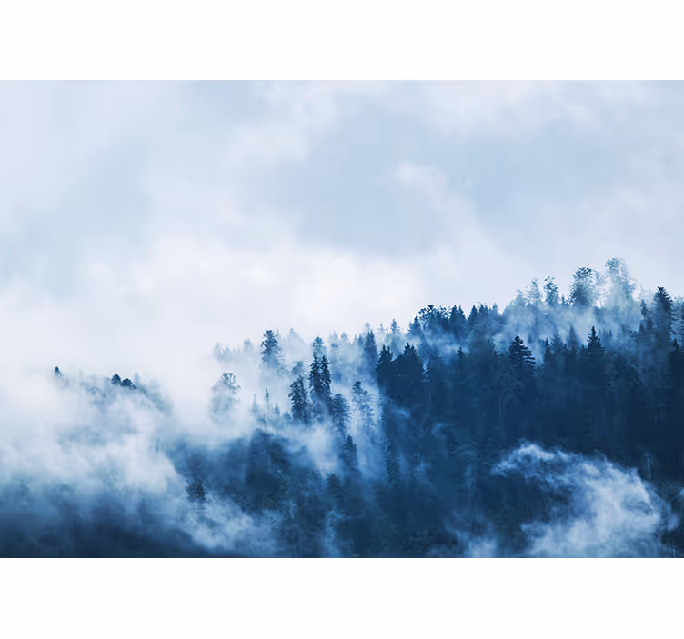 Papier peint nature paysage brumeux en forêt - TenStickers