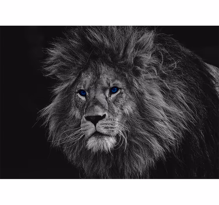 Tapisserie lion illustration majestueuse - TenStickers