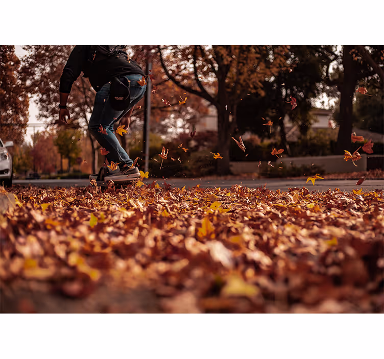 Tapisserie autres villes et de pays feuilles d'automne - TenStickers