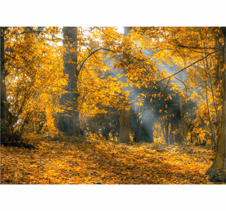 Tapisserie nature arbres dorés d'automne - TenStickers