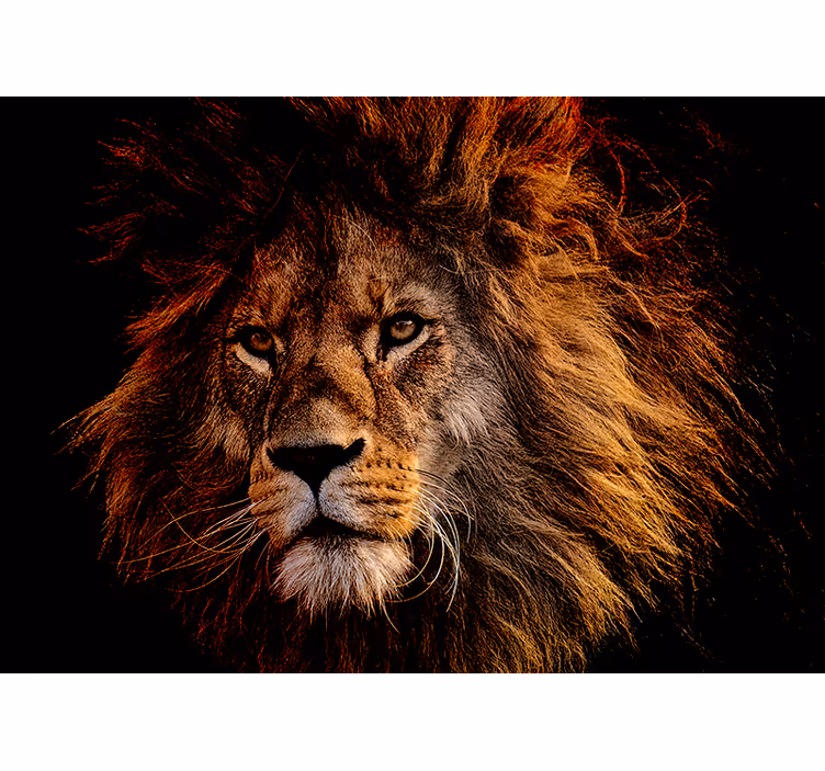 Tapisserie lion présence du lion majestueux - TenStickers