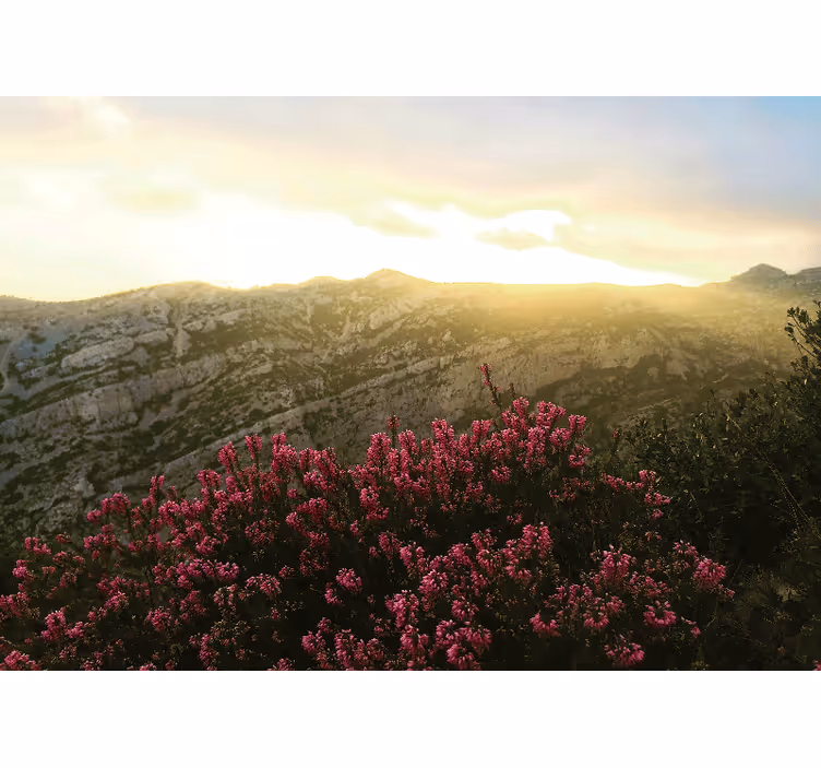 Tapisserie nature fleurs roses Épanouies - TenStickers