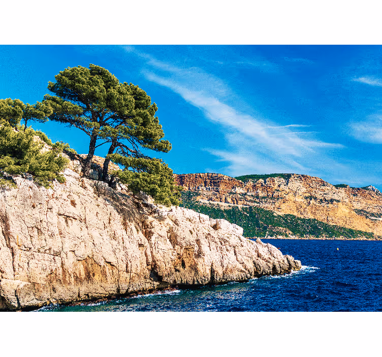 Tapisserie nature paysage côtier de pins - TenStickers