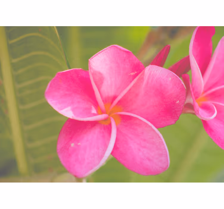 Tapisserie fleur accent rose - TenStickers