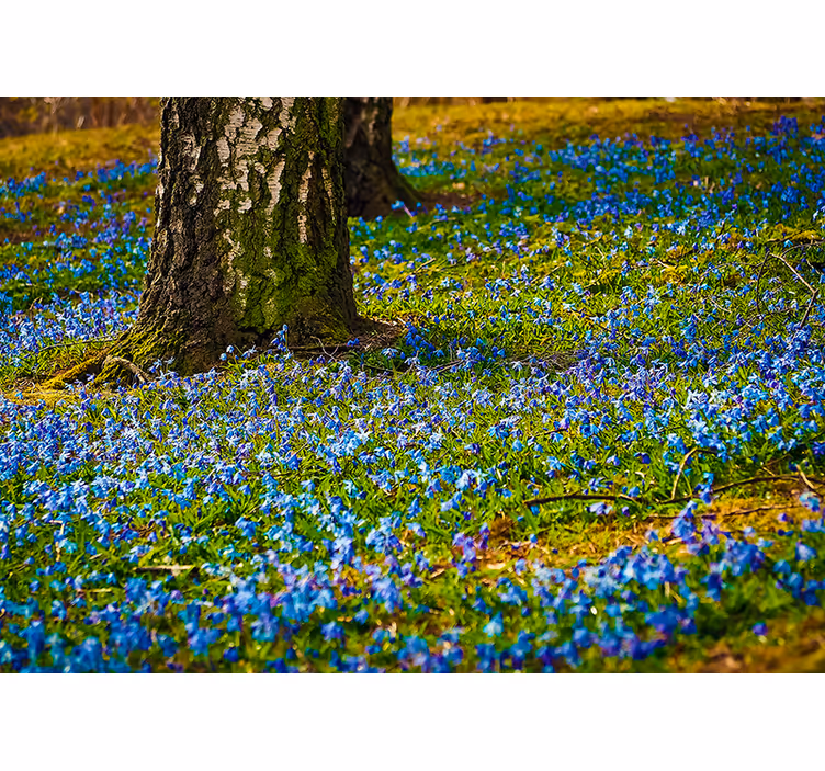 Tapisserie fleur scène de pré de jacinthes - TenStickers