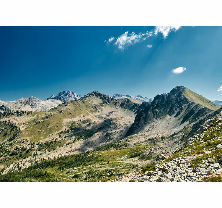 Tapisserie paysage vue sur les grandes montagnes - TenStickers