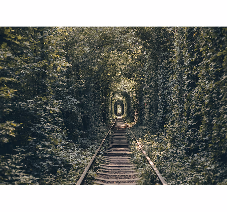 Tapisserie paysage tunnel de chemin de fer nature - TenStickers