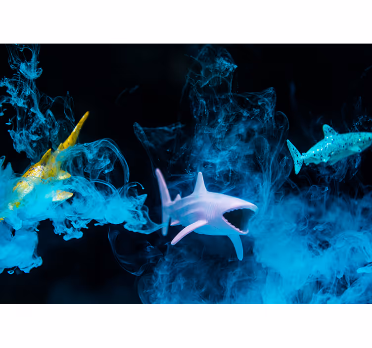 Tapisserie animaux illustration de requin coloré - TenStickers
