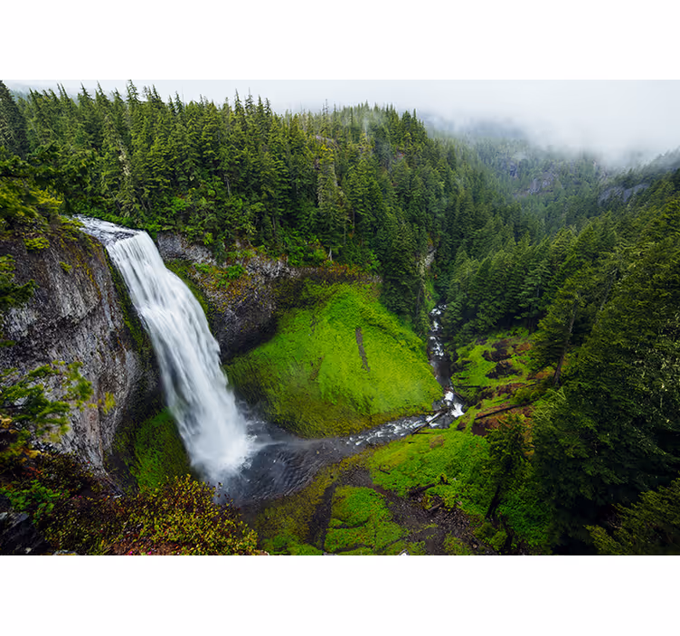 Tapisserie nature cascade verte luxuriante - TenStickers