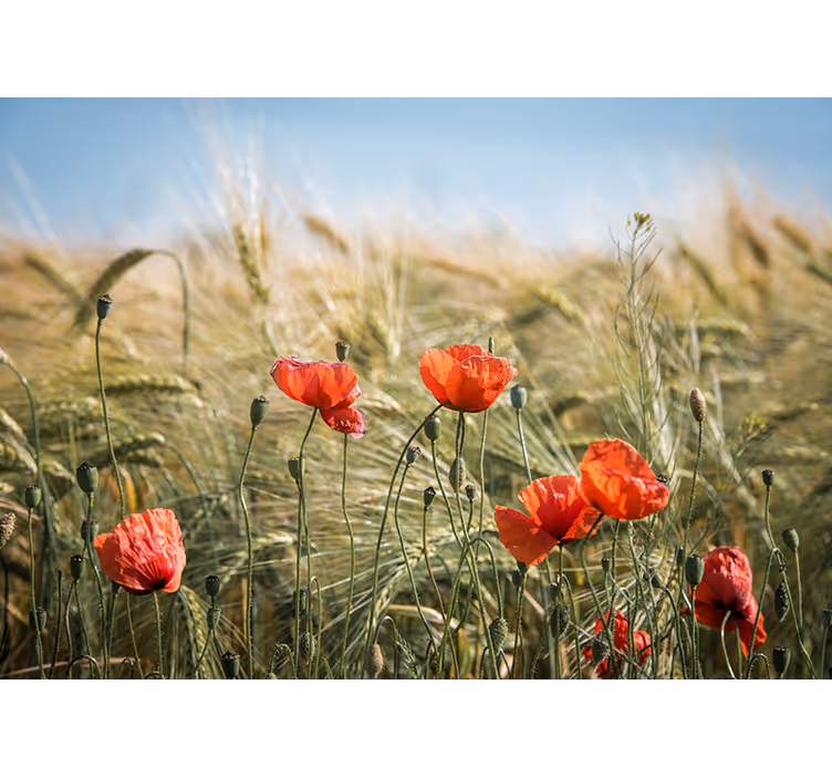 Tapisserie coquelicots sérénité des champs - TenStickers