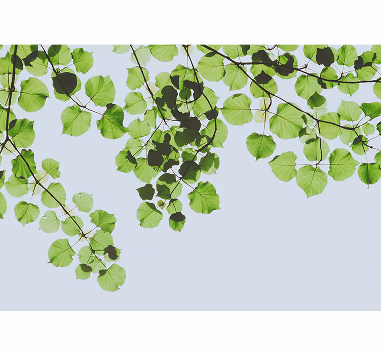 Tapisserie arbre canopée de branches feuillues - TenStickers