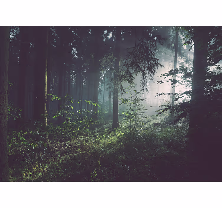 Papier peint nature paysage forestier verdoyant - TenStickers
