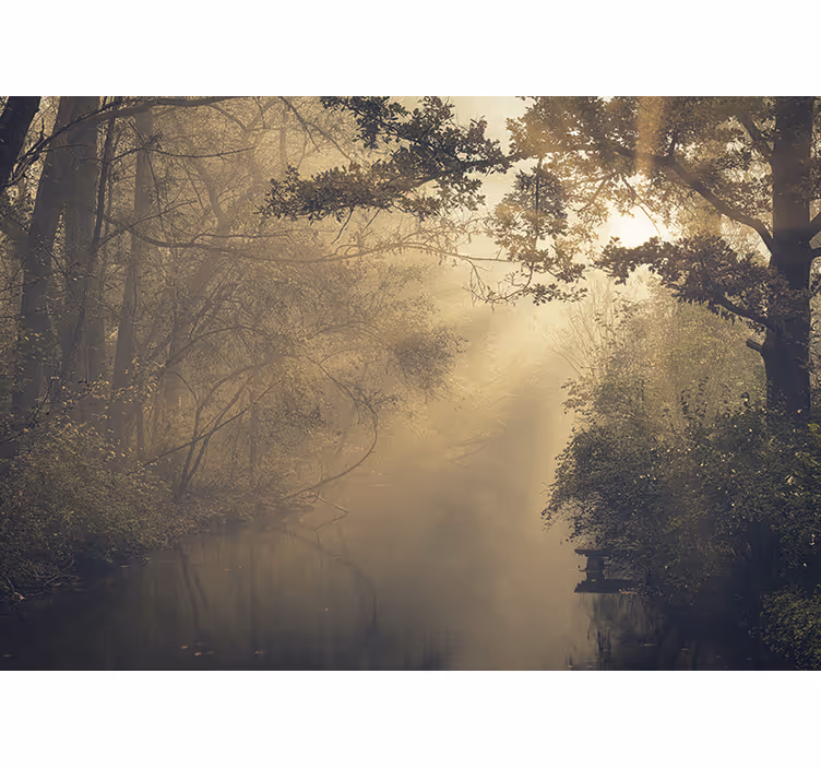 Tapisserie nature scène forestière lumineuse - TenStickers