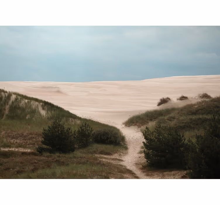 Tapisserie paysage chemin de dunes de sable - TenStickers