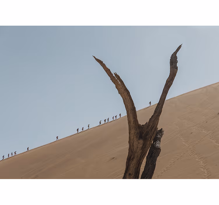 Tapisserie désert silhouette de randonneurs dans les dunes - TenStickers