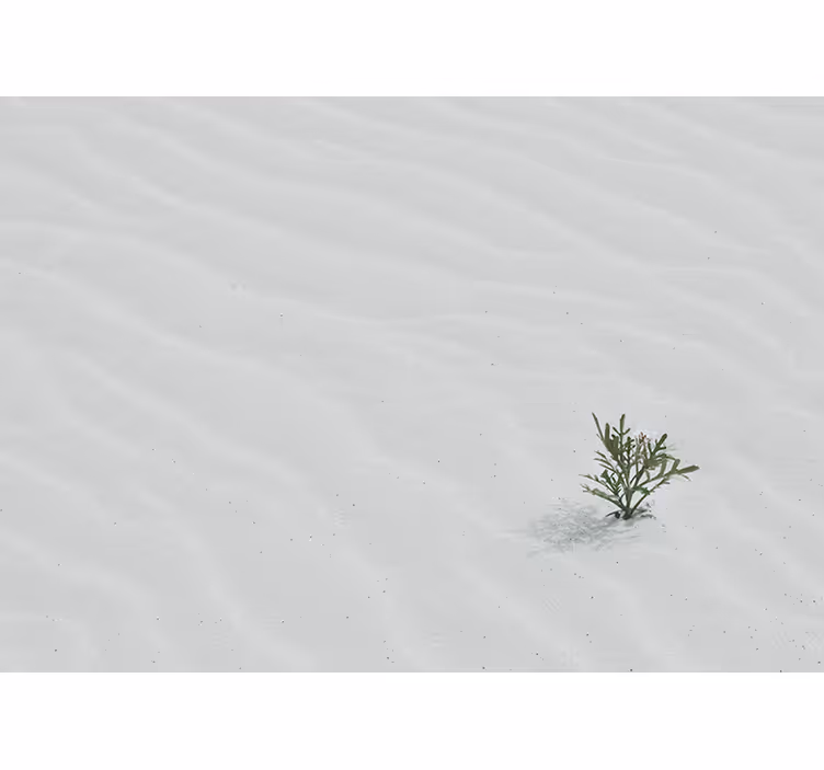 Tapisserie nature sable et verdure - TenStickers