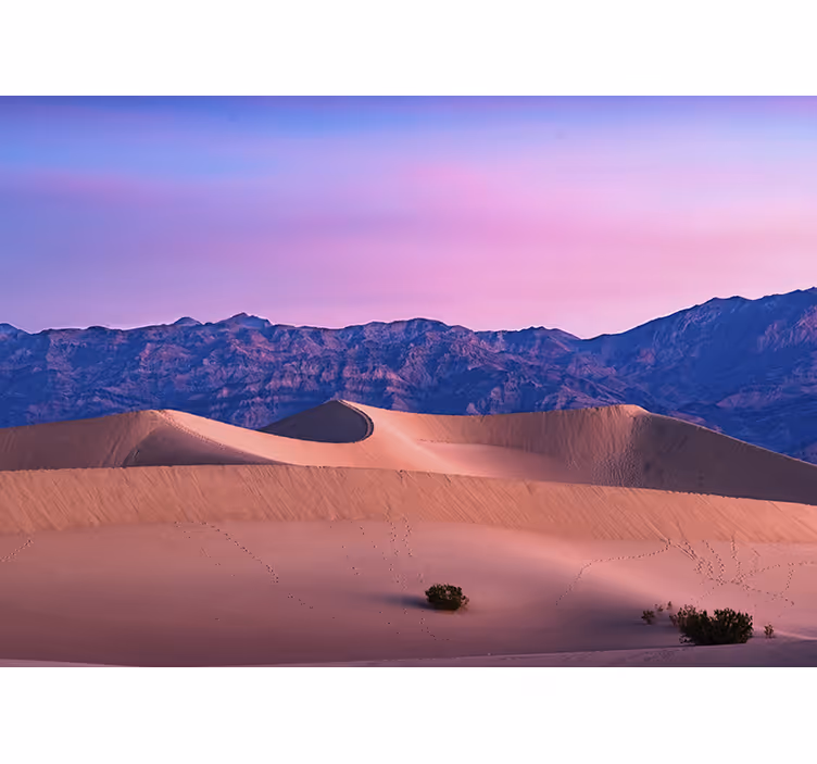 Tapisserie désert paysage de dunes dorées - TenStickers