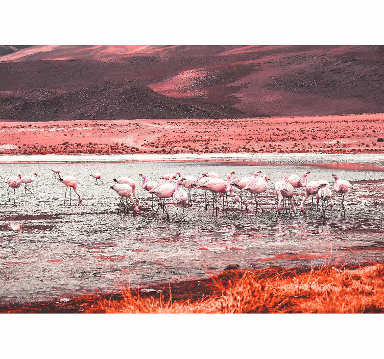 Tapisserie autres animaux scène d'habitat de flamants - TenStickers