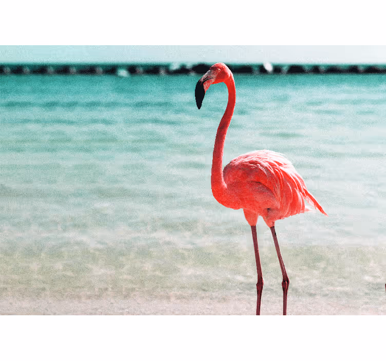 Tapisserie animaux pose gracieuse de flamant - TenStickers
