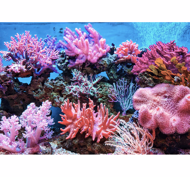 Tapisserie mer scène de corail aquatique - TenStickers