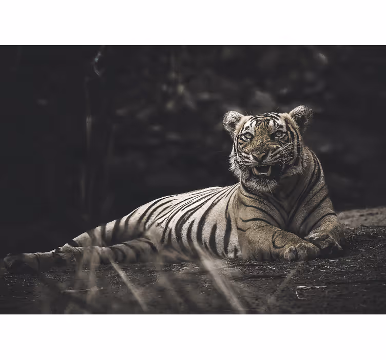 Tapisserie animaux tigre majestueux en posture - TenStickers