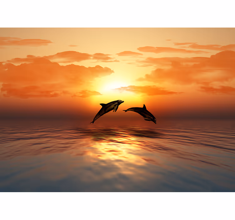 Tapisserie animaux les dauphins sautent au coucher du soleil - TenStickers