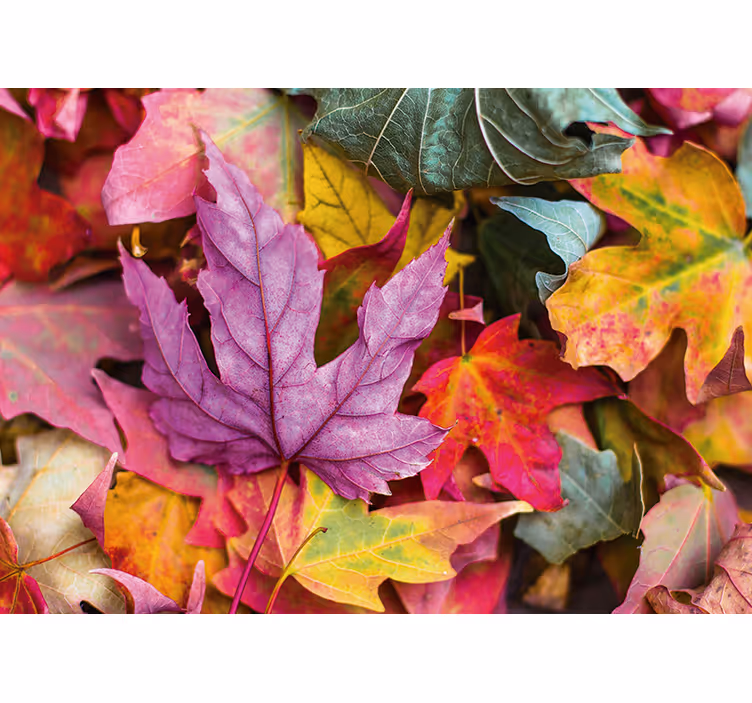 Tapisserie fleur motifs de feuilles colorées - TenStickers