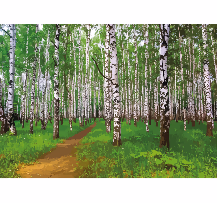 Tapisserie nature chemin de forêt de bouleaux - TenStickers