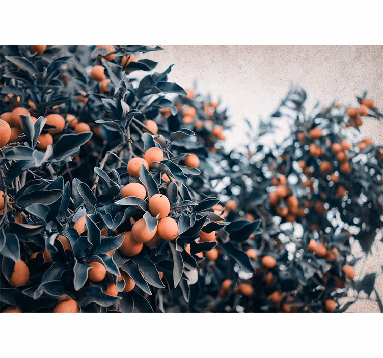 Tapisserie fleur branche de fruits agrumes - TenStickers