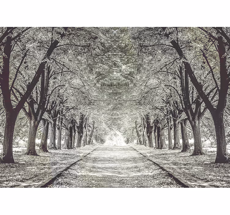 Tapisserie nature chemin d'arbre serein - TenStickers