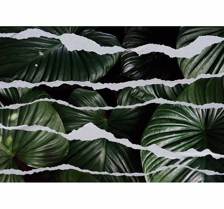 Papier peint nature design feuillage luxuriant - TenStickers