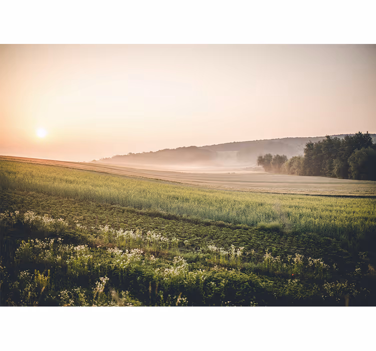 Tapisserie paysage prairies vertes tranquilles - TenStickers