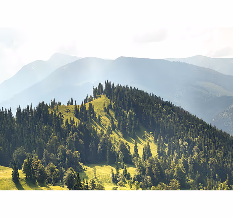 Tapisserie paysage scène de forêt montagneuse - TenStickers