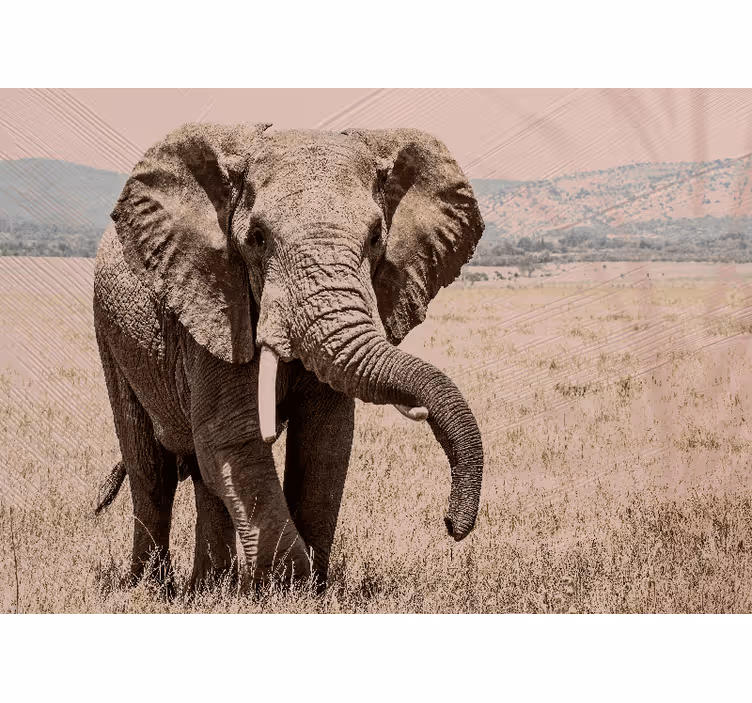 Tapisserie autres animaux Élégance d'Éléphant - TenStickers