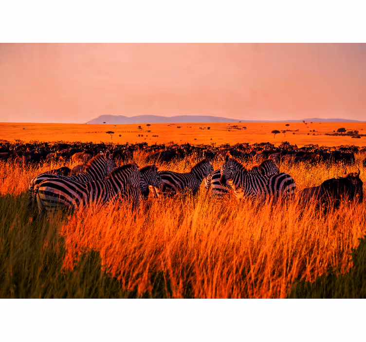 Papier peint nature zèbres dans le serengeti - TenStickers